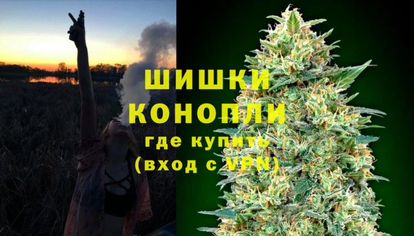 хмурый Дмитриев