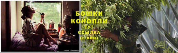 хмурый Дмитриев