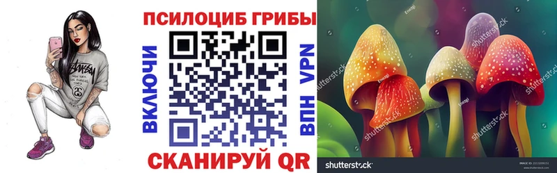 маркетплейс официальный сайт  где можно купить   Плёс  Псилоцибиновые грибы GOLDEN TEACHER 