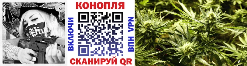 МАРИХУАНА сатива  Плёс 